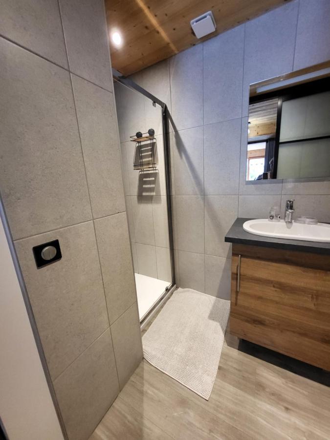 Appartement Cosy Face Aux Aravis 르그랑보르낭 외부 사진