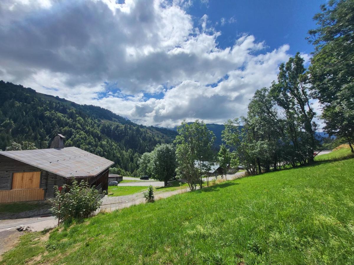 Appartement Cosy Face Aux Aravis 르그랑보르낭 외부 사진