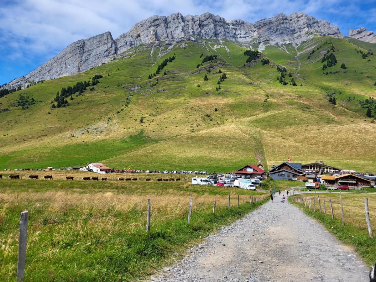 Appartement Cosy Face Aux Aravis 르그랑보르낭 외부 사진