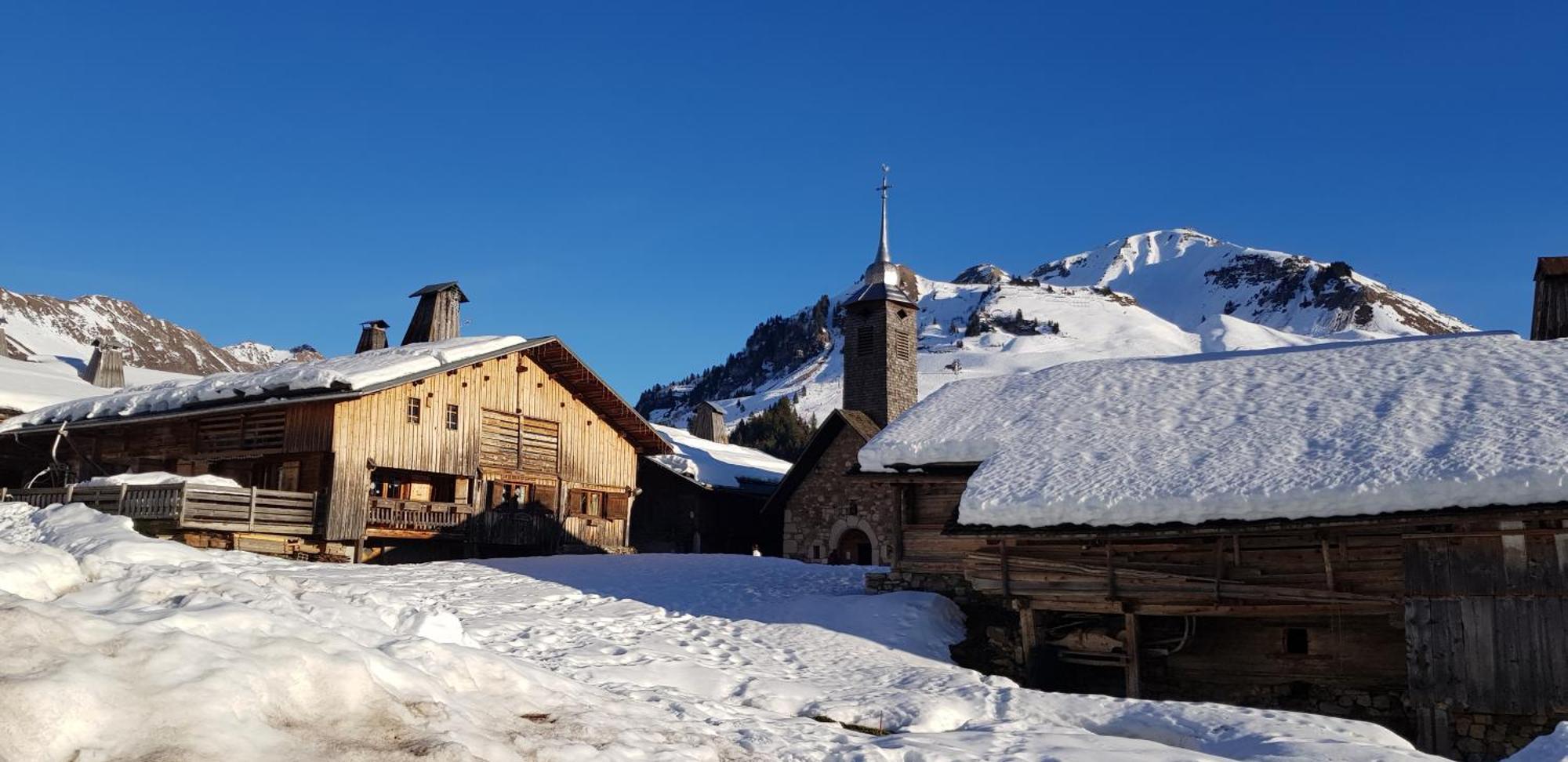 Appartement Cosy Face Aux Aravis 르그랑보르낭 외부 사진