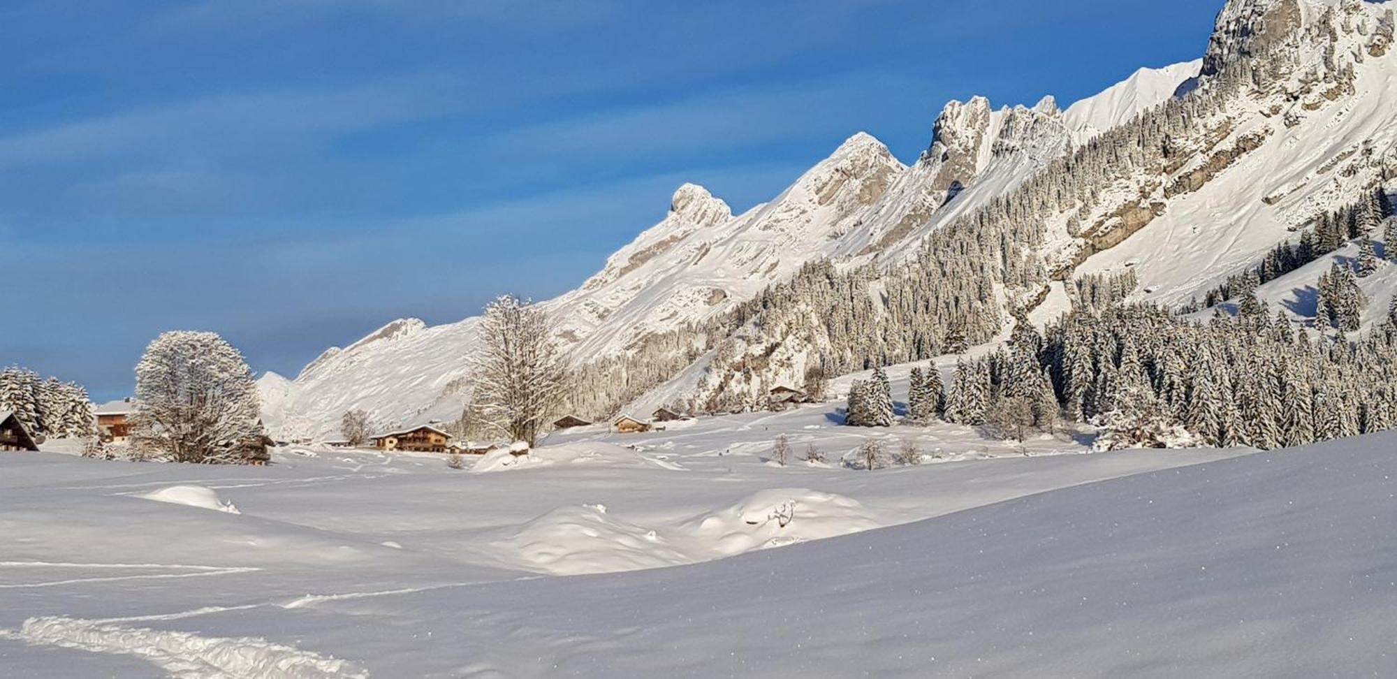 Appartement Cosy Face Aux Aravis 르그랑보르낭 외부 사진