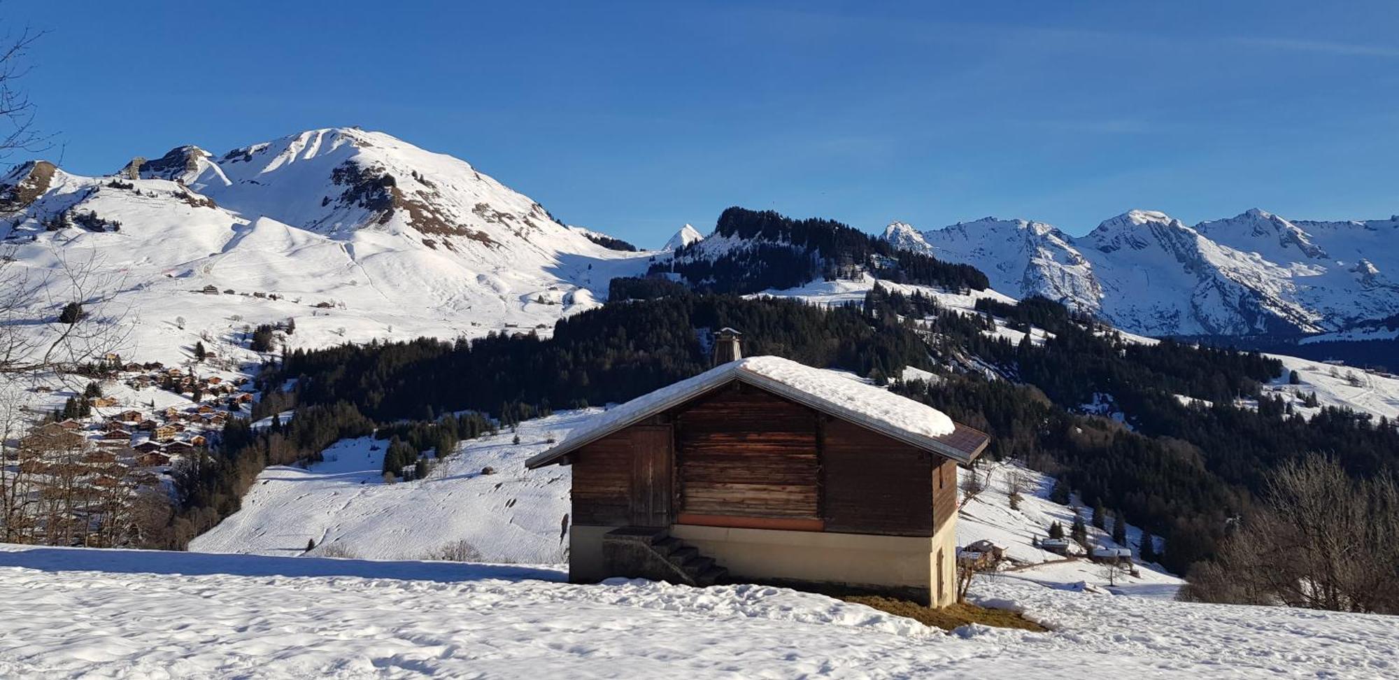 Appartement Cosy Face Aux Aravis 르그랑보르낭 외부 사진