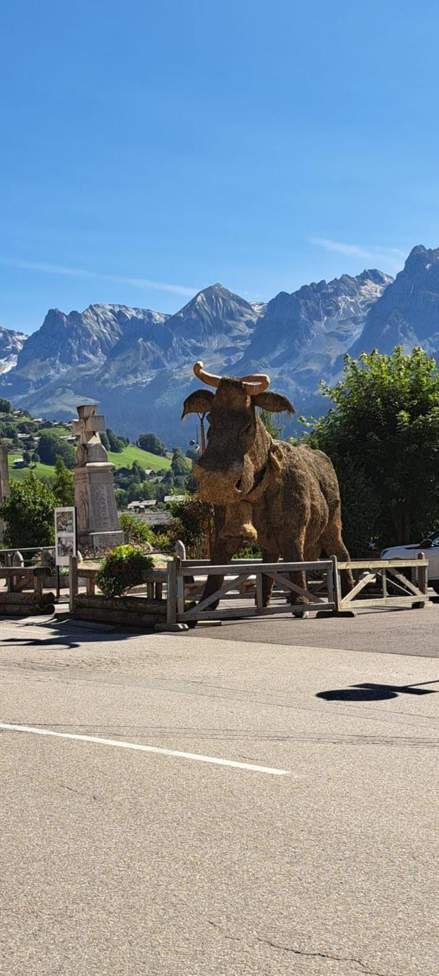 Appartement Cosy Face Aux Aravis 르그랑보르낭 외부 사진