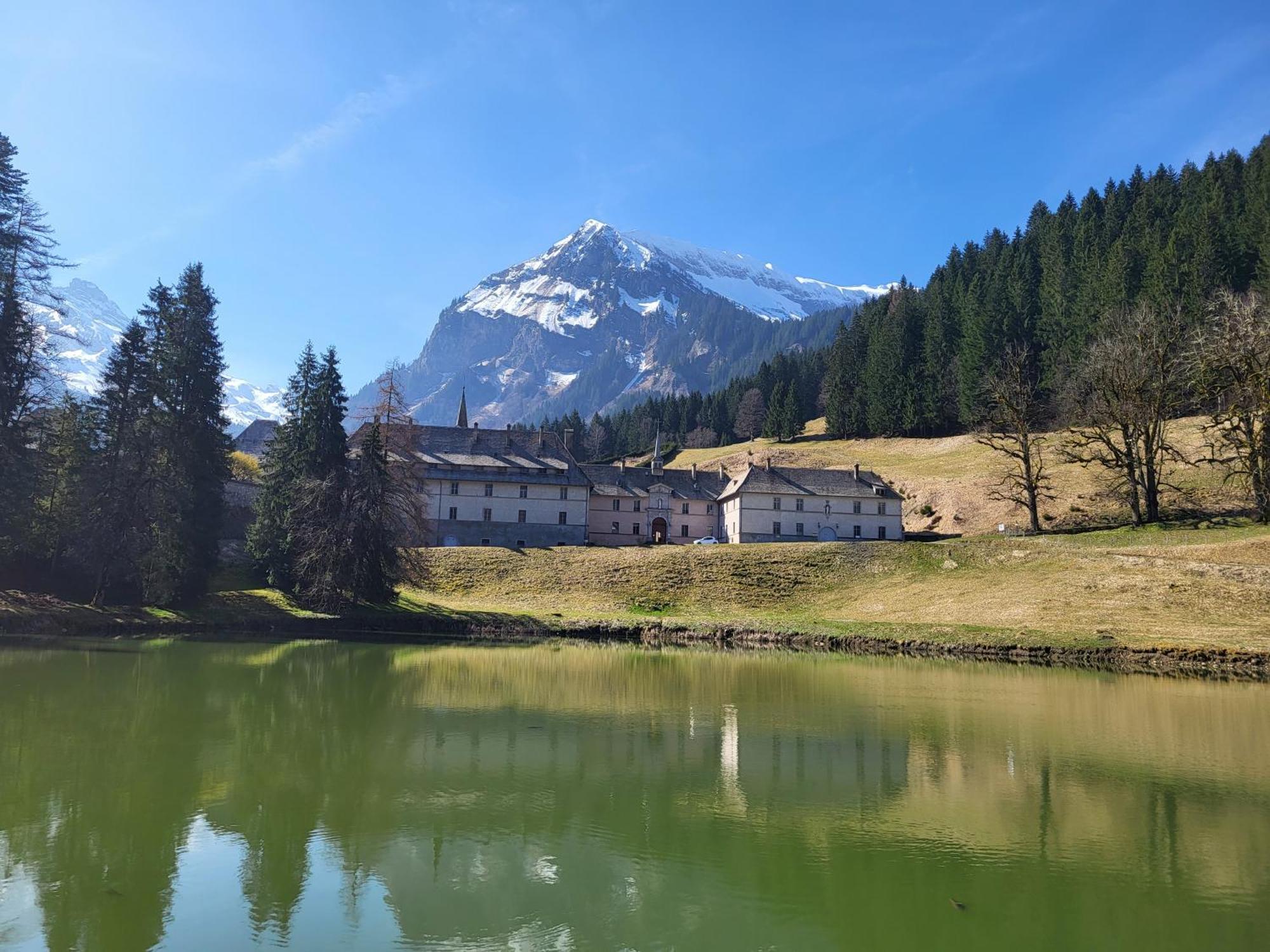 Appartement Cosy Face Aux Aravis 르그랑보르낭 외부 사진