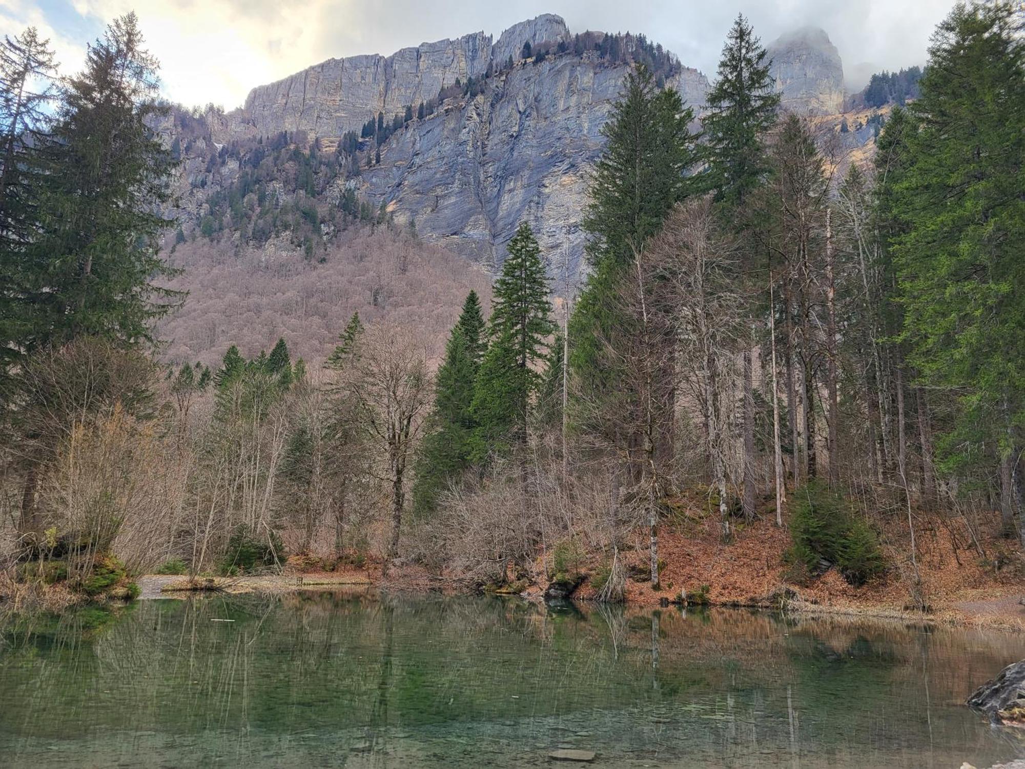 Appartement Cosy Face Aux Aravis 르그랑보르낭 외부 사진